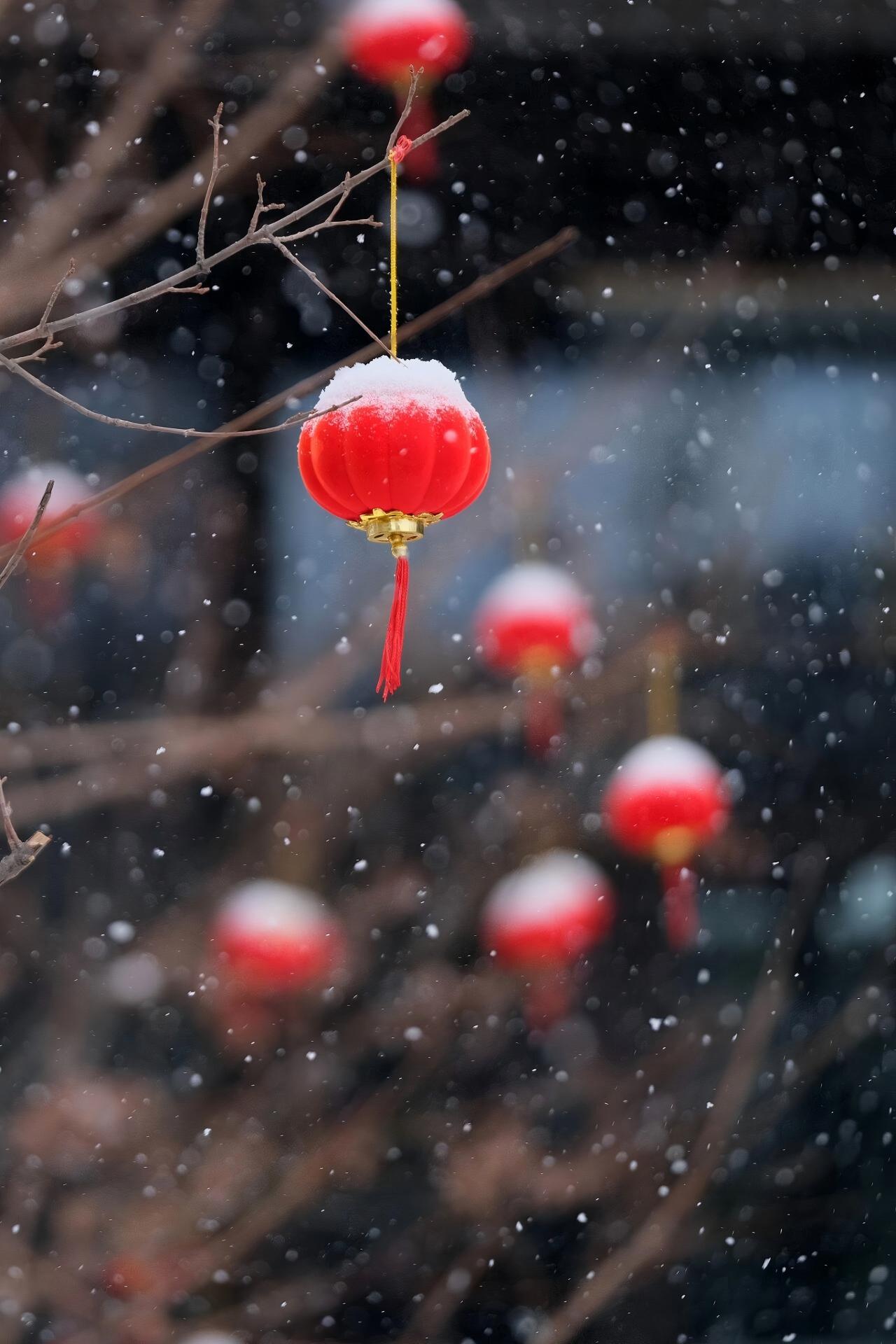 微信图片_2026-01-20_100844_680.jpg 微信图片_2026-01-20_100844_680.jpg