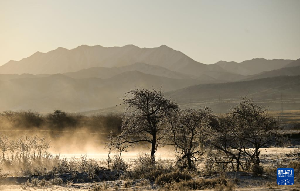 微信图片_2026-01-20_102212_852.png 微信图片_2026-01-20_102212_852.png